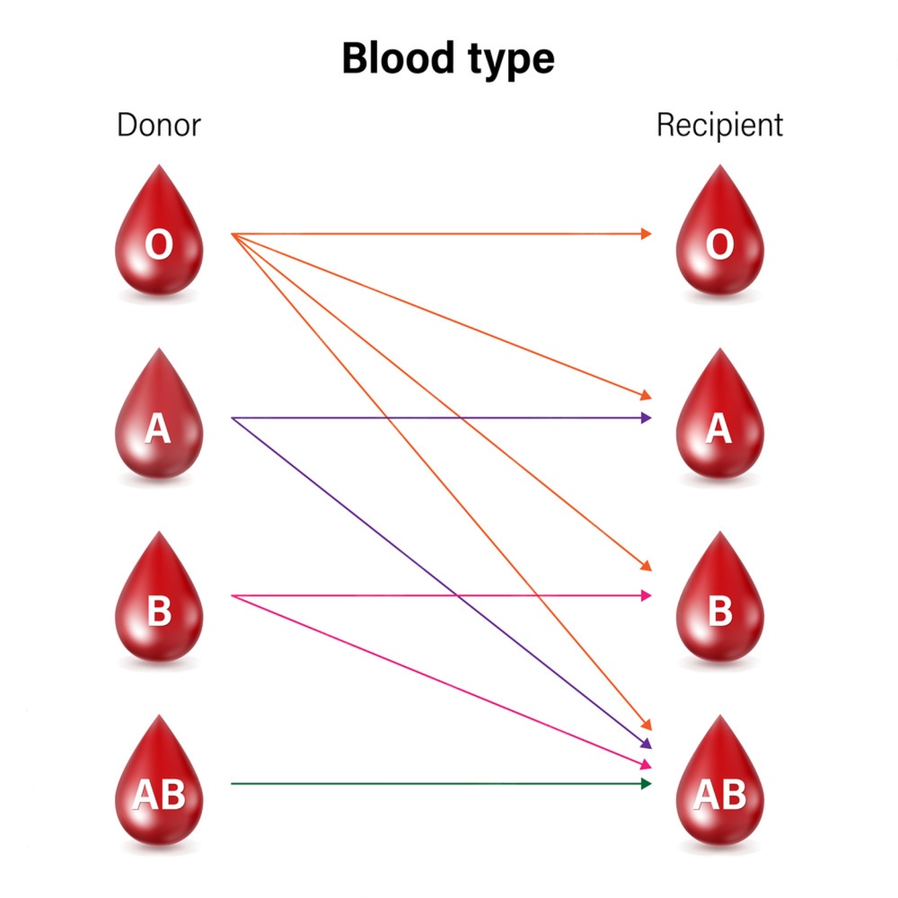 Blood Donation Support